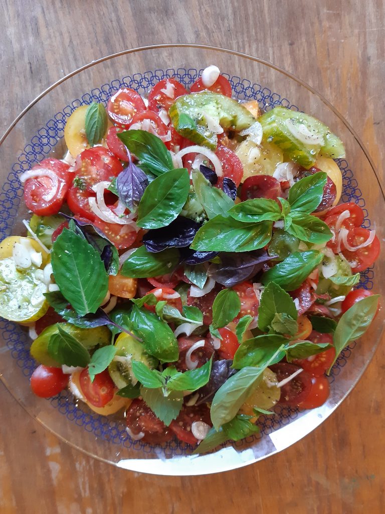 Ein Tomate Mozarella Teller